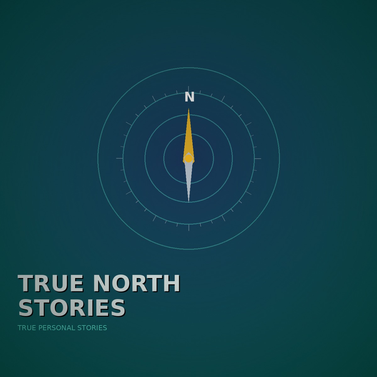 Cover art for True North Stories